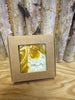 Soap- Nature's Blessing